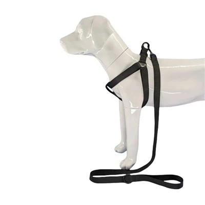 Нагръдник за черно куче