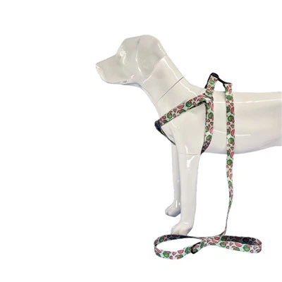 Халтер за куче