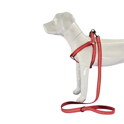 Светлоотразителен колан за червено куче