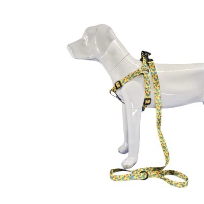 Хамут за кучета от ананас