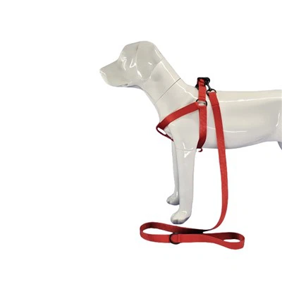 Нагръдник за червено куче